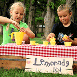 Young Entrepreneurs Lemonade Stand