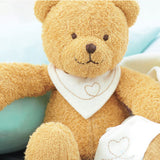 Classic teddy bear plush cuddle toy