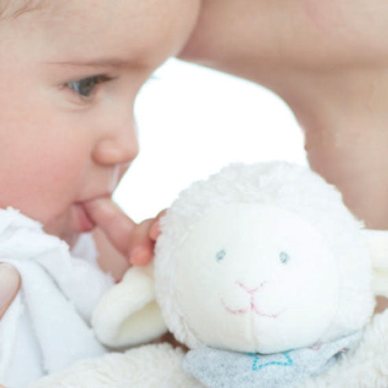 Best Soft Lamb Cuddle Toy